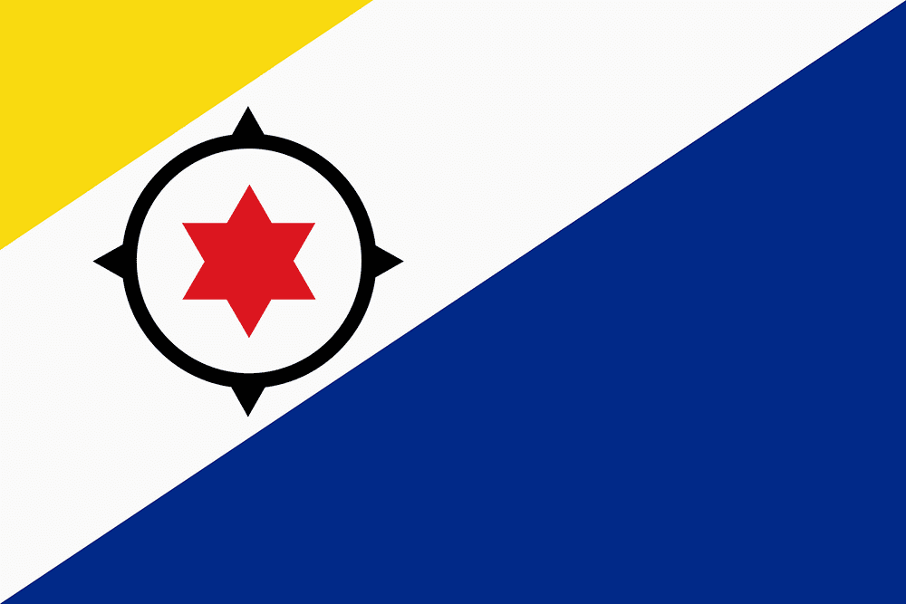 Flag with star and compass design.