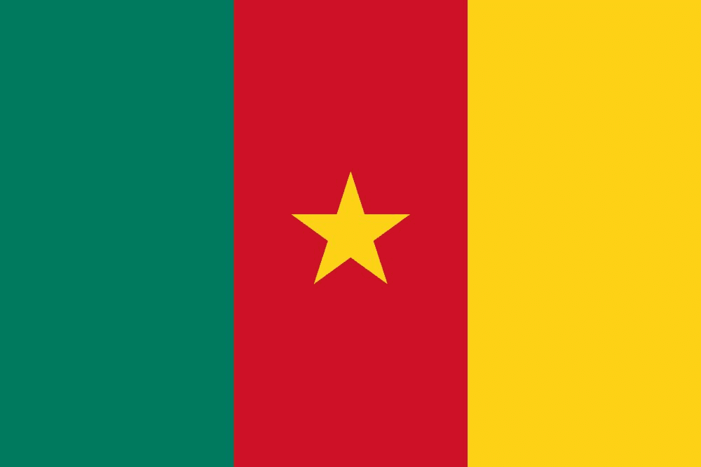 Flag of Cameroon with a central star.