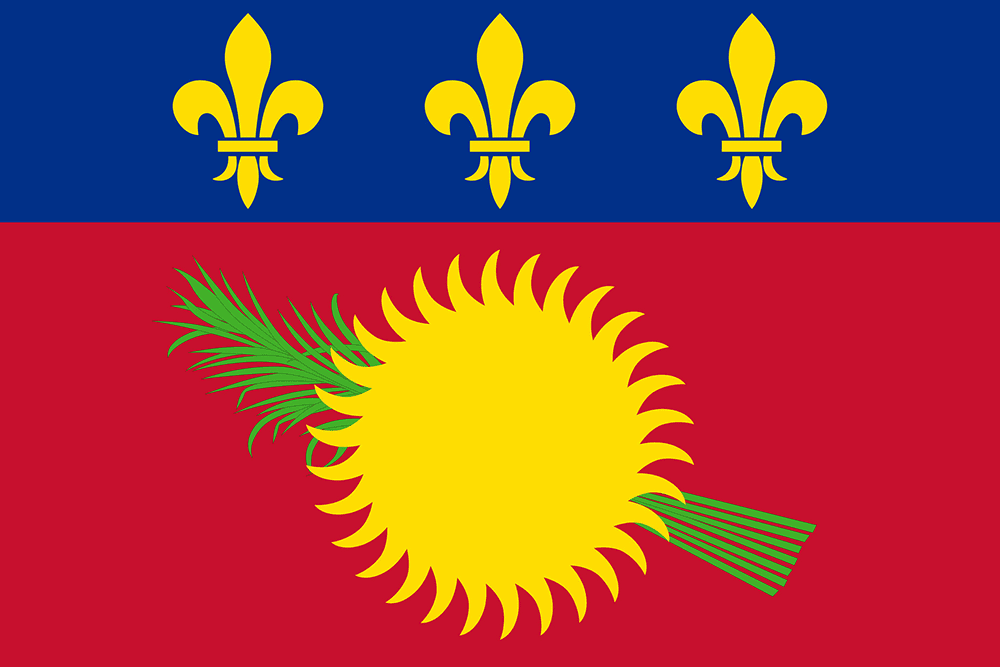 Flag with fleurs-de-lis and sun emblem.
