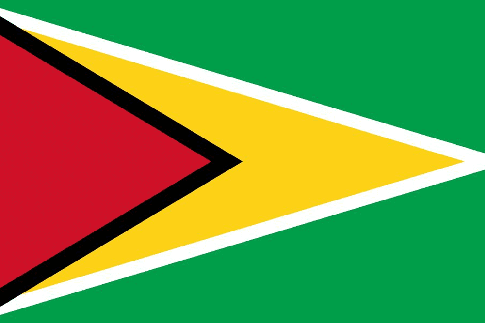 Flag of Guyana with green, red, yellow.